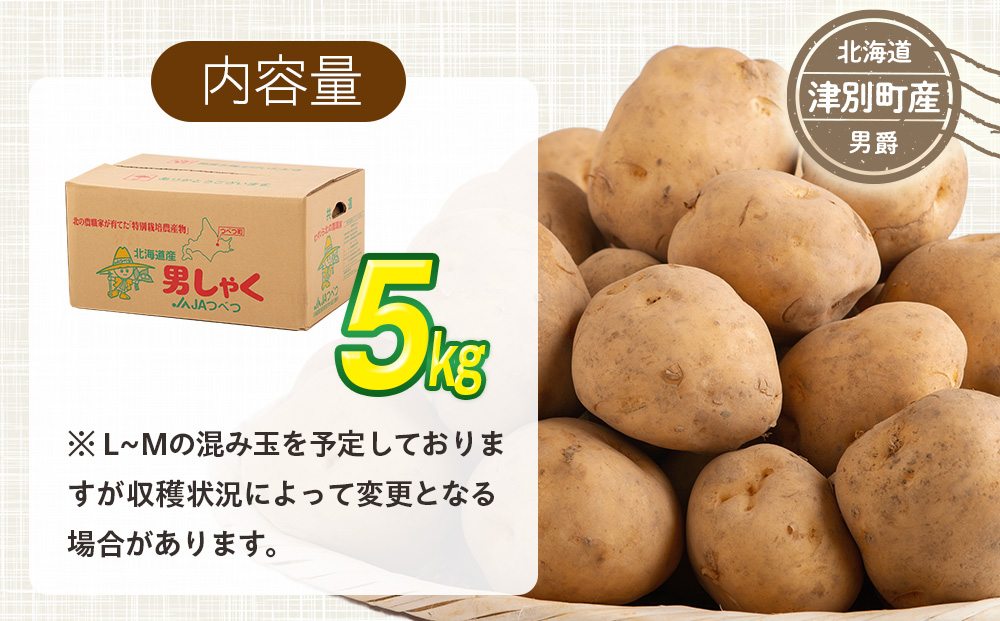 R8年産先行受付 じゃがいも 5kg 特別栽培（男爵） | ジャガイモ 芋 男爵 馬鈴薯 大容量 新鮮 野菜 煮物 カレー シチュー ポテト 保存 特産 産地直送 北海道 津別町 送料無料 5kg