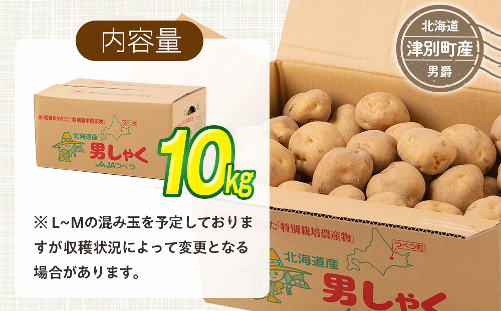 R8年産先行受付 じゃがいも 10kg 特別栽培（男爵） | ジャガイモ 芋 男爵 馬鈴薯 大容量 新鮮 野菜 煮物 カレー シチュー ポテト 保存 特産 産地直送 北海道 津別町 送料無料 10kg