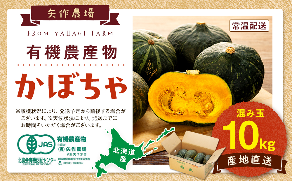 【先行受付】R8年産 有機栽培かぼちゃ 10kg | かぼちゃ カボチャ 南瓜 大容量 パンプキン 甘い 有機栽培 国産 産地直送 北海道 津別町 送料無料