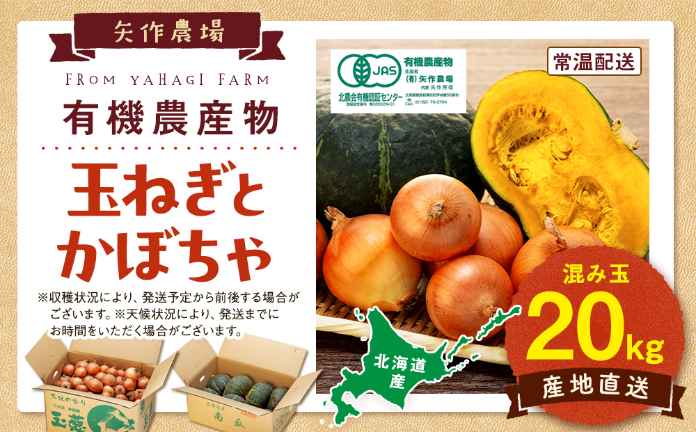 【先行受付】R8年産 有機栽培玉ねぎ・かぼちゃセット 合計20kg | 玉ねぎ たまねぎ タマネギ 玉葱 かぼちゃ カボチャ 南瓜 セット 詰め合わせ 大容量 オニオン パンプキン 甘い 有機栽培 国産 産地直送 北海道 津別町 送料無料