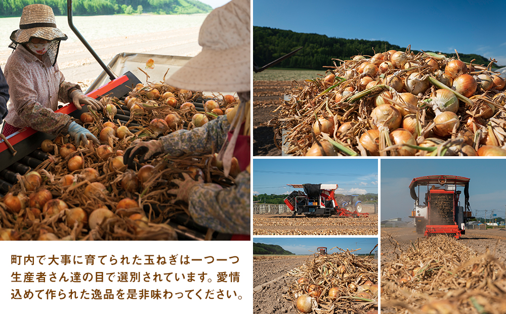 【先行受付】R8年産 有機栽培玉ねぎ 20kg | 玉ねぎ たまねぎ タマネギ 玉葱 大容量 オニオン 甘い 有機栽培 国産 産地直送 カレー ハンバーグ 煮込み 炒め物 北海道 津別町 送料無料