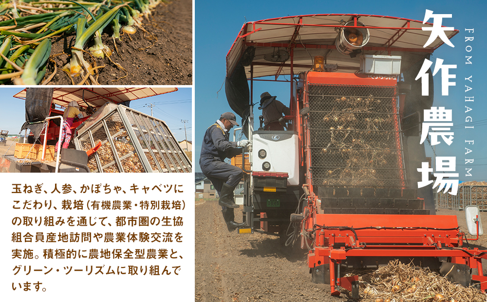 【先行受付】R8年産 有機栽培玉ねぎ 20kg | 玉ねぎ たまねぎ タマネギ 玉葱 大容量 オニオン 甘い 有機栽培 国産 産地直送 カレー ハンバーグ 煮込み 炒め物 北海道 津別町 送料無料