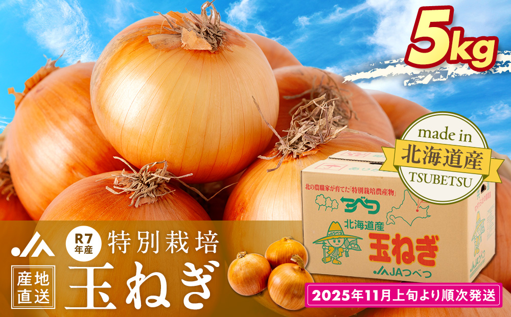 R7年産先行受付 玉ねぎ 5kg 特別栽培 | 玉ねぎ たまねぎ タマネギ 玉葱 大容量 オニオン 甘い 減農薬 特別栽培 国産 カレー ハンバーグ 煮込み 炒め物 北海道 津別町 送料無料 ５kg