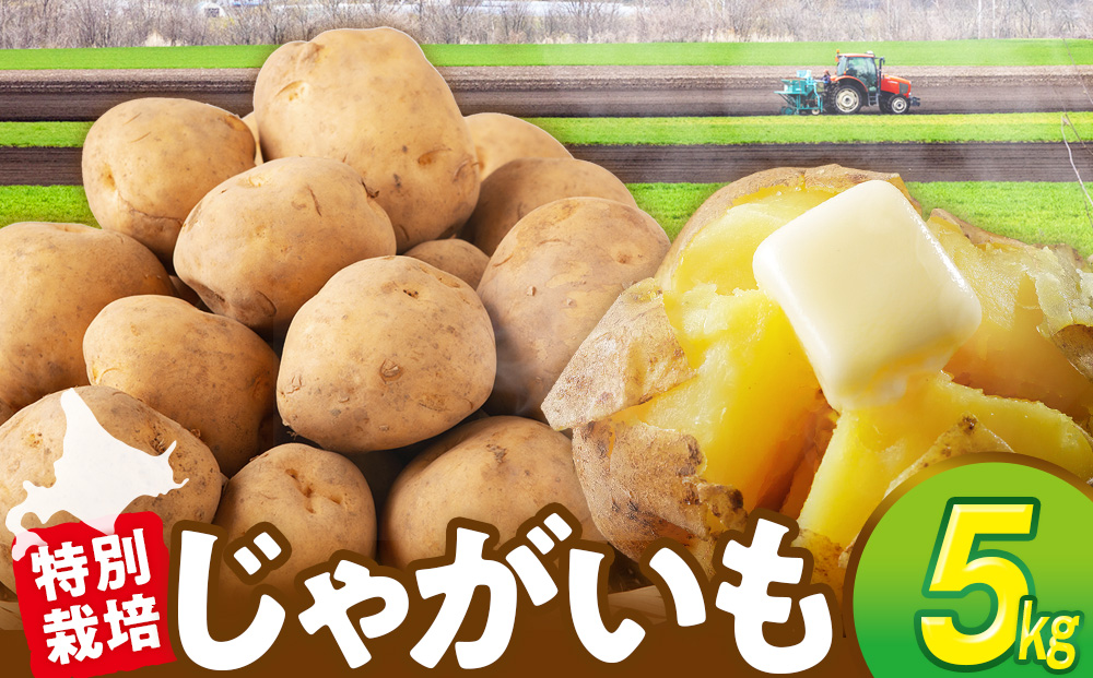 R8年産先行受付 じゃがいも 5kg 特別栽培（男爵） | ジャガイモ 芋 男爵 馬鈴薯 大容量 新鮮 野菜 煮物 カレー シチュー ポテト 保存 特産 産地直送 北海道 津別町 送料無料 5kg