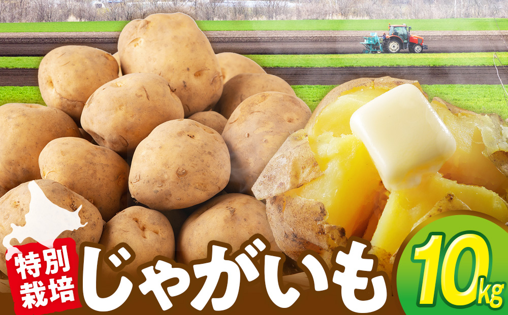 R8年産先行受付 じゃがいも 10kg 特別栽培（男爵） | ジャガイモ 芋 男爵 馬鈴薯 大容量 新鮮 野菜 煮物 カレー シチュー ポテト 保存 特産 産地直送 北海道 津別町 送料無料 10kg