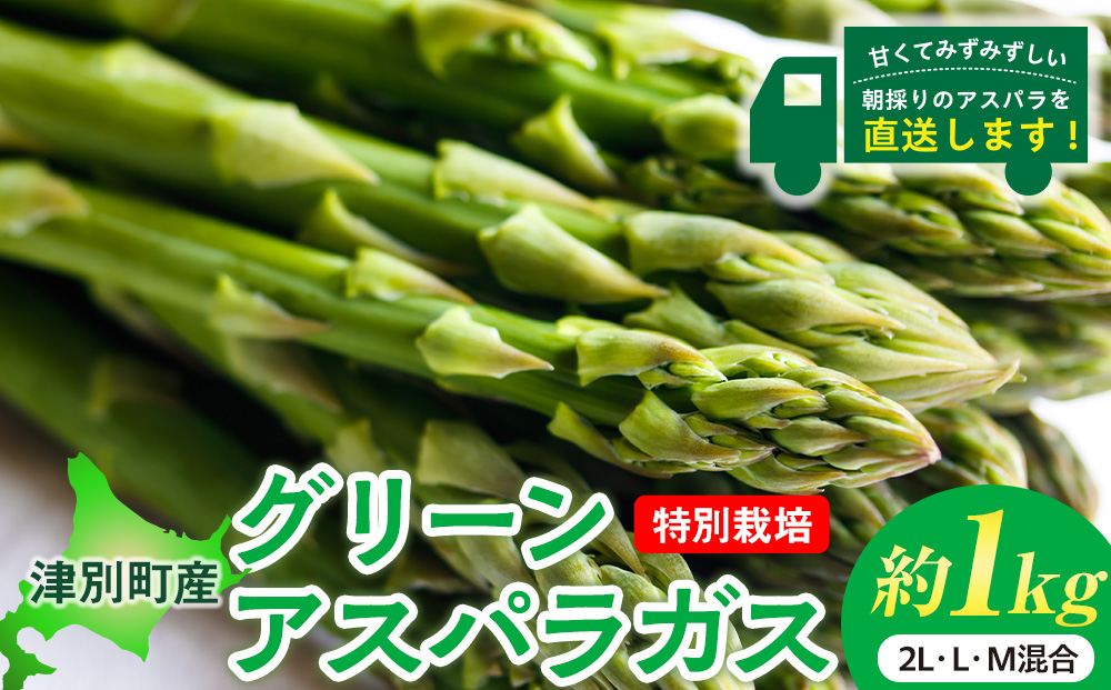 【先行受付】R8年産 アスパラガス 約1kg 特別栽培 細川農園 ｜ グリーンアスパラ グリーンアスパラガス アスパラ 大容量 野菜 春野菜 朝採れ 新鮮 極太 自然 国産 家庭用 旬 特産 産地直送 北海道 津別町 送料無料