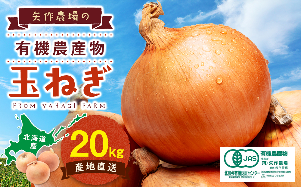 【先行受付】R8年産 有機栽培玉ねぎ 20kg | 玉ねぎ たまねぎ タマネギ 玉葱 大容量 オニオン 甘い 有機栽培 国産 産地直送 カレー ハンバーグ 煮込み 炒め物 北海道 津別町 送料無料