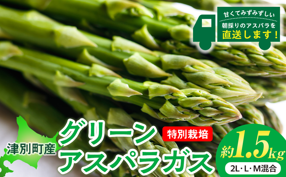 【先行受付】R8年産 アスパラガス 約1.5kg 特別栽培 細川農園 ｜グリーンアスパラ グリーンアスパラガス アスパラ 大容量 野菜 春野菜 朝採れ 新鮮 極太 自然 国産 家庭用 旬 特産 産地直送 北海道 津別町 送料無料