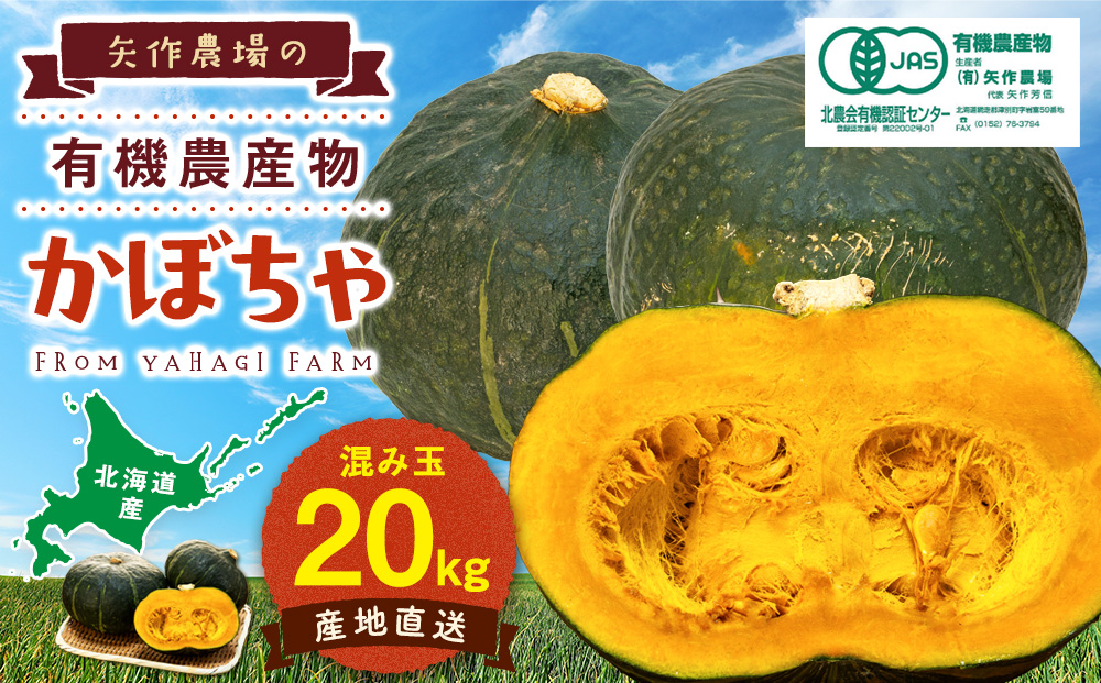 【先行受付】R8年産 有機栽培かぼちゃ 10kg | かぼちゃ カボチャ 南瓜 大容量 パンプキン 甘い 有機栽培 国産 産地直送 北海道 津別町 送料無料