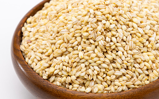 知床もち麦(500g×4袋)2Kg【配送不可地域：離島・沖縄県】