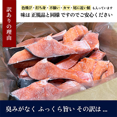 【訳あり】知床斜里産 天然秋鮭の切り身 約1.3kg 船上活締め【配送不可地域：離島・沖縄県】