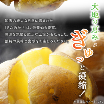 知床の大自然が育む黄金色の極上芋　きたあかり　5kg【配送不可地域：離島・沖縄県】