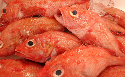 【北海道知床産】無添加　きんき(めんめ)1枚・真ほっけ2枚〈知床「梶原鮮魚店」特製一夜干しセット〉【配送不可地域：離島・沖縄県】