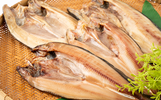 【北海道知床産】無添加　真ほっけ開き4枚(大2枚、中2枚)〈知床「梶原鮮魚店」特製一夜干し〉【配送不可地域：離島・沖縄県】