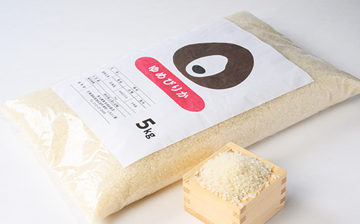 令和6年産 北海道産ゆめぴりか精米10kg(5kg×2袋)