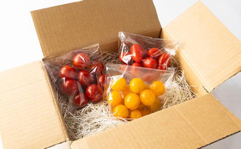 知床の斜里町産　採れたてトマト300g×3種セット【配送不可地域：離島・沖縄県】