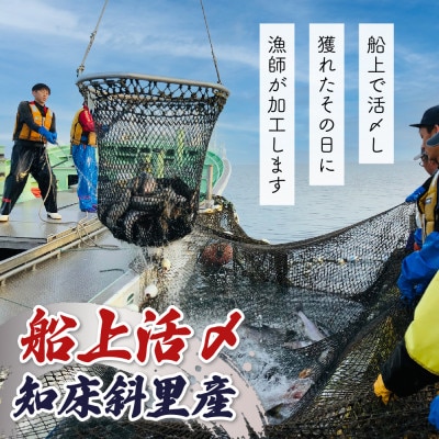 船上活〆【骨とり】オホーツクサーモン1.5kg(真空パック)【配送不可地域：離島・沖縄県】
