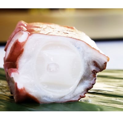 浜茹で タコ足刺身用 約200g～300g(1本)×2パック 冷凍 ミョウバン不使用【現地加工品】【配送不可地域：離島・沖縄県】