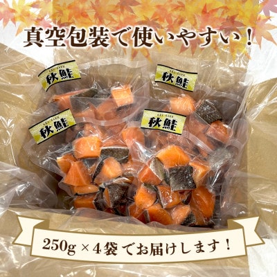 知床斜里産 骨抜き!知床サイコロサーモン1kg(無塩) 船上活〆/真空パック【配送不可地域：離島・沖縄県】