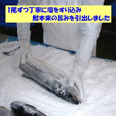 焼きたて真空パック　そのまま使える知床産塩焼鮭切身【20個入り】【配送不可地域：離島・沖縄県】