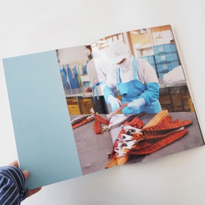 知床サスティナブル/vol.6 〈 編集長は写真家 石川直樹氏 〉