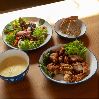 知床トコさんテーブルウェアシリーズ 丸プレート皿 2枚(L)【ブルー】【配送不可地域：離島・沖縄県】