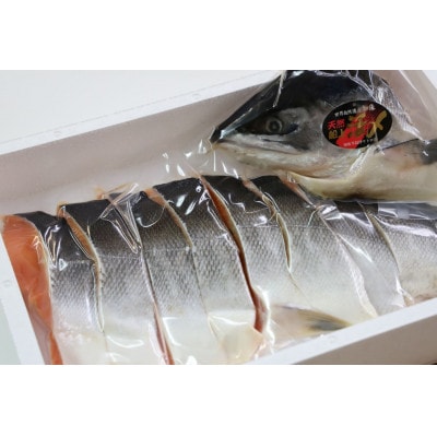 ふるさと納税 活〆 時知らず鮭 切身 中塩仕込 半身 1600g(魚体4kg以上)斜里町産【配送不可地域：離島・沖縄県】