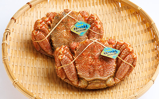 北海道産　浜茹で毛ガニ　450g前後×2尾【配送不可地域：離島・沖縄県】