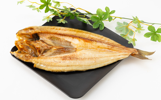 【北海道産】知床羅臼産開きホッケ 5枚入り【大サイズ】【配送不可地域：離島・沖縄県】