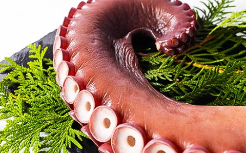 浜茹で タコ足刺身用 1kg前後小分け 冷凍 たこしゃぶにも ミョウバン不使用【配送不可地域：離島・沖縄県】