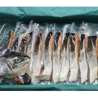 活〆 時知らず鮭 切り身 中塩仕込 天然  半身 1200g 魚体3kg以上 小分け【配送不可地域：離島・沖縄県】