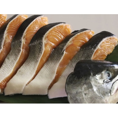 活〆 時知らず 鮭切り身 中塩仕込 天然 半身 1100g 小分け  知床斜里産【配送不可地域：離島・沖縄県】