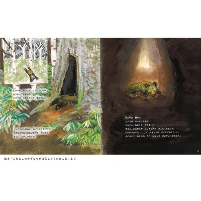 知床財団オリジナル絵本セット【配送不可地域：離島・沖縄県】