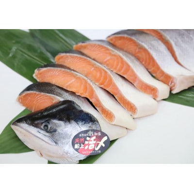 ふるさと納税 活〆 時知らず鮭 切身 中塩仕込 半身 1600g(魚体4kg以上)斜里町産【配送不可地域：離島・沖縄県】
