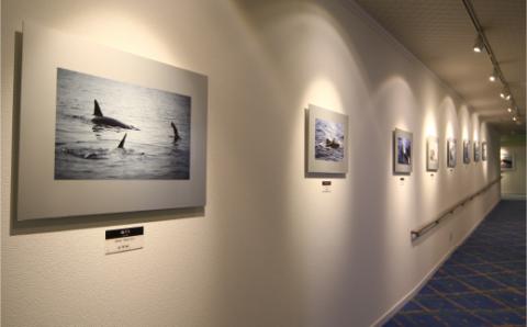 ホテル知床　1泊2食　ペア宿泊券