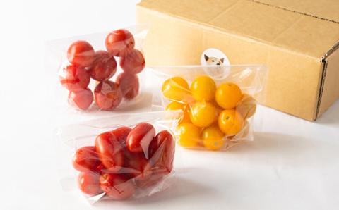 知床の斜里町産　採れたてトマト300g×3種セット【配送不可地域：離島・沖縄県】