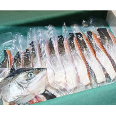 活〆 時知らず 鮭切り身 中塩仕込 天然 半身 1100g 小分け  知床斜里産【配送不可地域：離島・沖縄県】