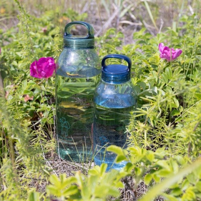 知床トコさん　ウォーターボトル　ブルー　500ml×1本　常温で水が飲める 耐熱マイボトル【配送不可地域：離島・沖縄県】
