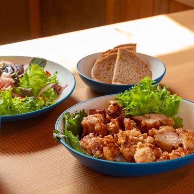 知床トコさんテーブルウェアシリーズ 丸ボウル皿 4枚セット (S)【ブルー】【配送不可地域：離島・沖縄県】