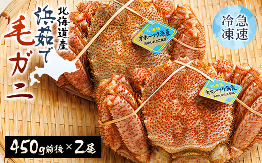 北海道産　浜茹で毛ガニ　450g前後×2尾【配送不可地域：離島・沖縄県】