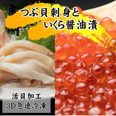 国産ツブ貝(刺身用)90g×3パック【現地加工品】と鮭卵いくら醤油漬け200g×1箱【配送不可地域：離島・沖縄県】