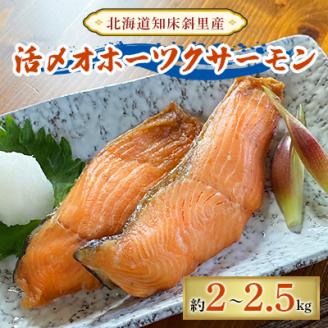 船上活〆オホーツクサーモン(胃洗浄)　約2～2.5kg【配送不可地域：離島・沖縄県】