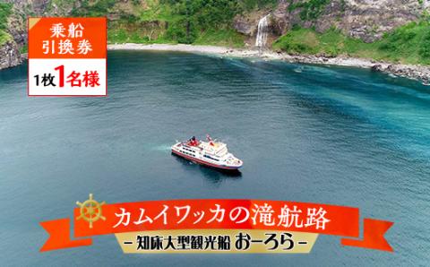 知床大型観光船おーろら【カムイワッカの滝航路・乗船引換券 1枚1名様】【配送不可地域：離島・沖縄県】: 斜里町ANAのふるさと納税