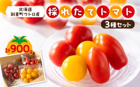知床の斜里町産　採れたてトマト300g×3種セット【配送不可地域：離島・沖縄県】