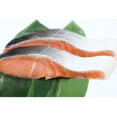 活〆 時知らず 天然 鮭切身 中塩仕込 10切(2切160g×5パック) 800g  知床斜里産【配送不可地域：離島・沖縄県】