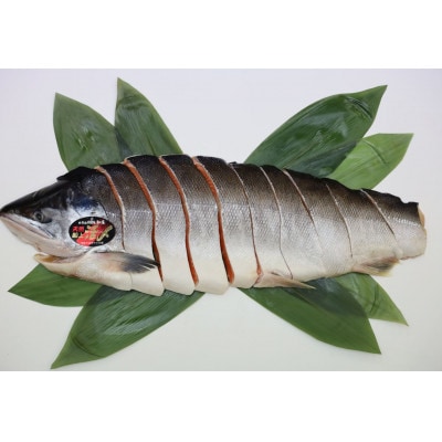 ふるさと納税 活〆 時知らず鮭 切身 中塩仕込 半身 1600g(魚体4kg以上)斜里町産【配送不可地域：離島・沖縄県】