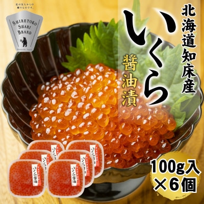 【北海道知床産】鮭いくら醤油漬け 600g(100g×6)【配送不可地域：離島・沖縄県】