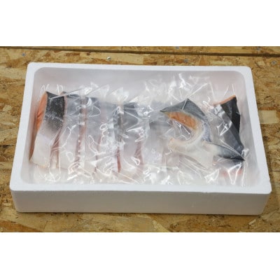 活〆 時しらず 鮭切身 無塩 天然 半身 800g 小分け 頭なし 知床斜里産【配送不可地域：離島・沖縄県】