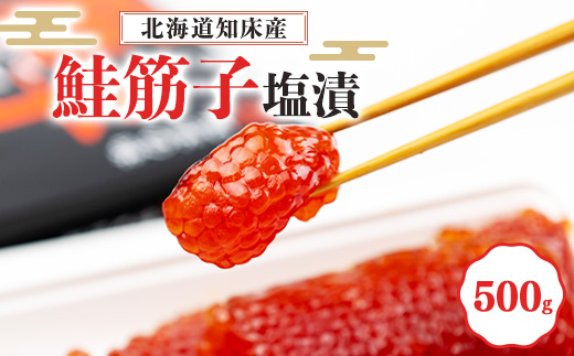[北海道知床産]鮭筋子(塩漬) 500g[配送不可地域:離島・沖縄県]