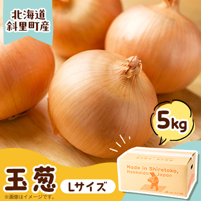 産地直送 知床の恵み凝縮!斜里の玉葱Lサイズ5kg 産地直送[配送不可地域:離島・沖縄県]
